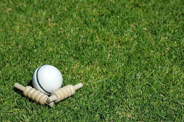 White cricket ball and bails lying in grass stock photo
