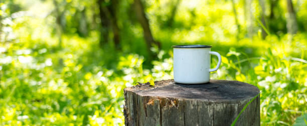 white enamel cup on aged stump in wild forest, sonny day panoramic shot stock photo