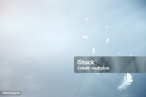 istock White feathers floating in the sky 1359234649