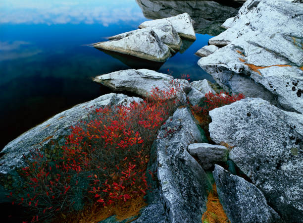 White Fish Rocks stock photo