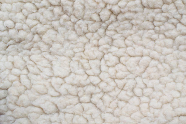 White fleece fur texture. Sheep wool texture. stock photo