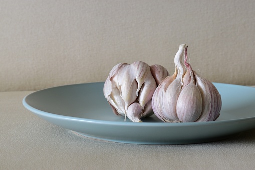 Ripe white Garlic bulbs partially peeled presented on a turquoise plate.  Selective focused and photographed closely.