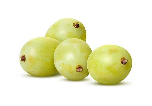 White Grapes Isolated with clipping path stock photo