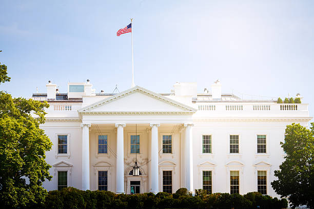White House White House white house stock pictures, royalty-free photos & images