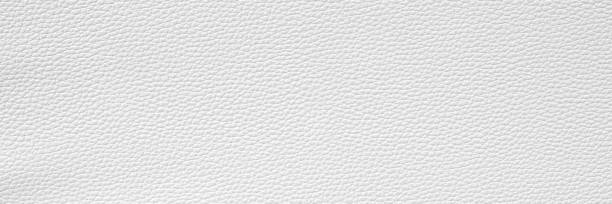 White leather and texture background. Wide banner. stock photo