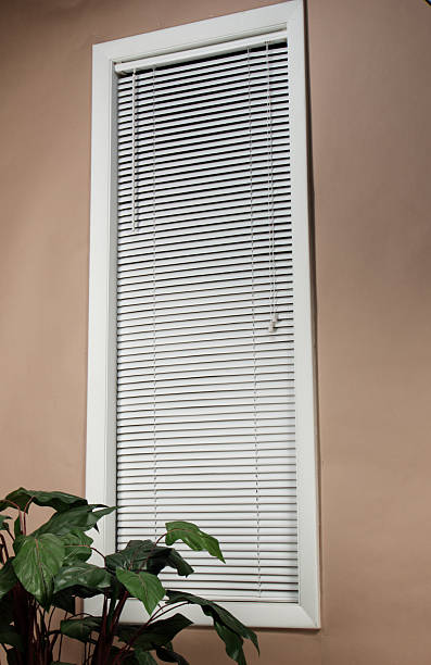 white mini blinds cover a long window stock photo