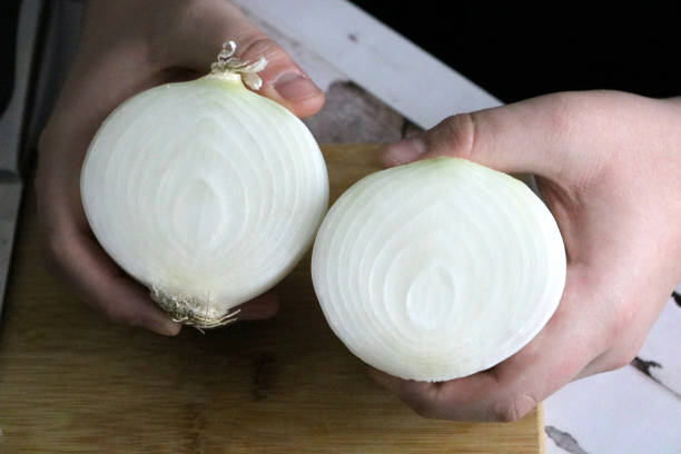White Onion Halves in Chef's Hands stock photo