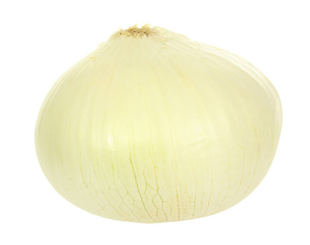 White Onion stock photo