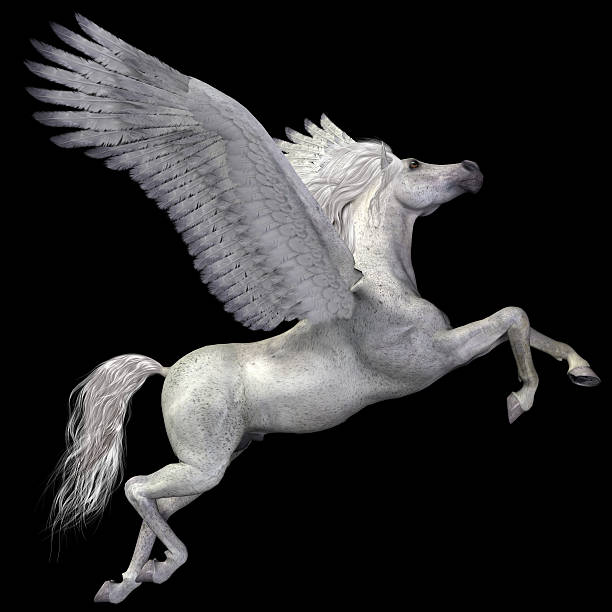 White Pegasus Profile stock photo