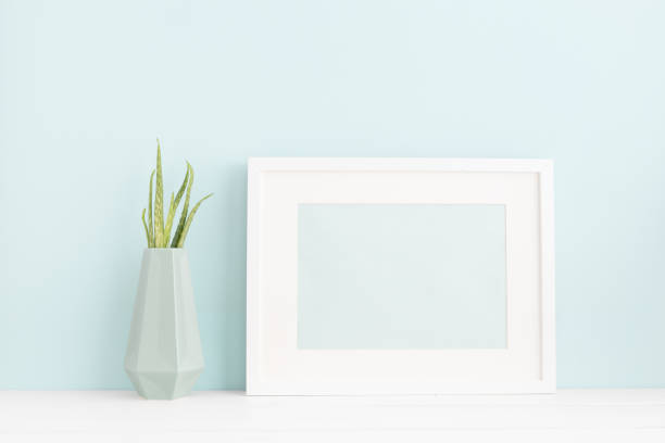 White photo frame and a plant on a pastel blue background mock up. White frame mock up on a book shelf. houseplant photos stock pictures, royalty-free photos & images
