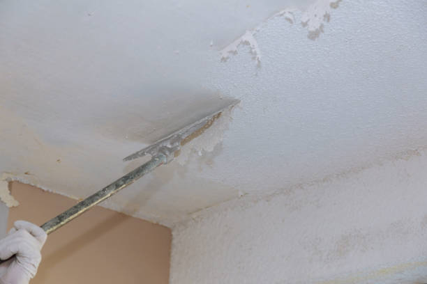 White Plaster Wall Pattern For Texture Popcorn Ceiling