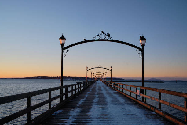 White Rock's wooden pier - and birds.  Day-break in winter. stock photo