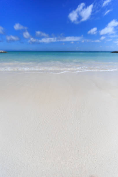 White sand beach in the Dominicana Republic stock photo