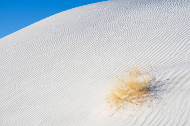 White Sand Dunes stock photo