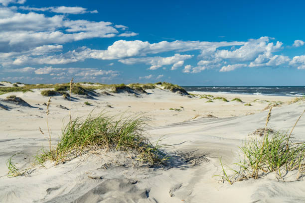 White Sand Dunes Outer Banks sand dunes and grass along the coast of North Carolina north carolina beach stock pictures, royalty-free photos & images