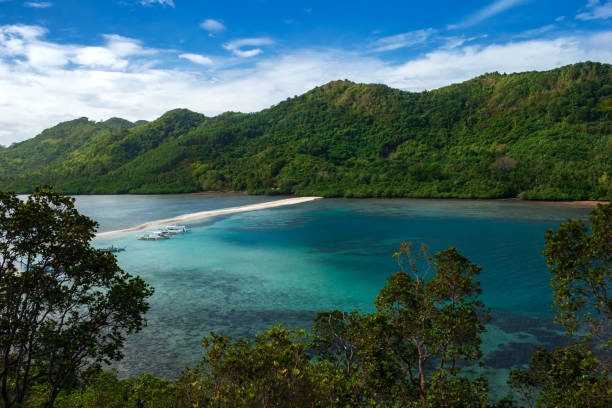 비 간 섬에 하얀 모래 스트립 (뱀 섬) 필리핀 팔 라 완의 엘 니도 지역에서. - snake island 뉴스 사진 이미지