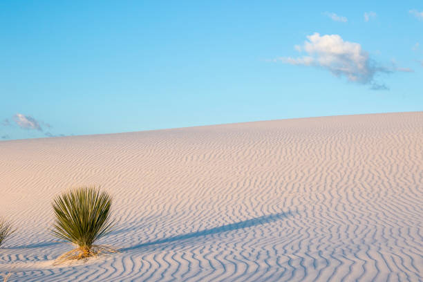 White Sands National Monument Scenic White Sands National Monument erik trampe stock pictures, royalty-free photos & images