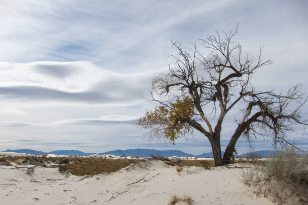 White Sands, New Mexico stock photo
