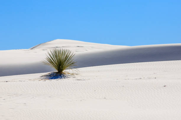 White Sands stock photo