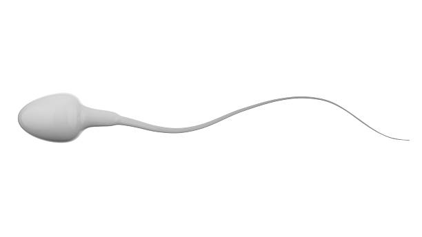 white sperm isolated on white stock photo