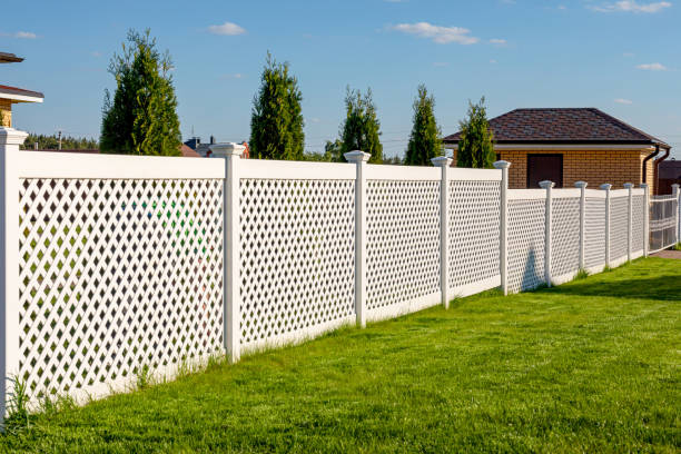 White vinyl fence in a cottage village. Several panels are connected by columns. Fencing of private property. White vinyl fence in a cottage village. Several panels are connected by columns. Tall Thuja bushes behind the fence. Fencing of private property. fence stock pictures, royalty-free photos & images