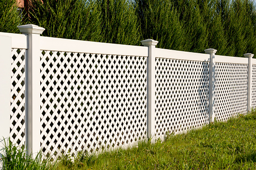 White vinyl fence in a cottage village. Tall Thuja bushes behind the fence. Fencing of private property.