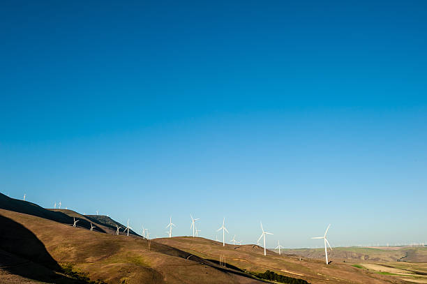 white windmills producing clean energy during a bright summer day
