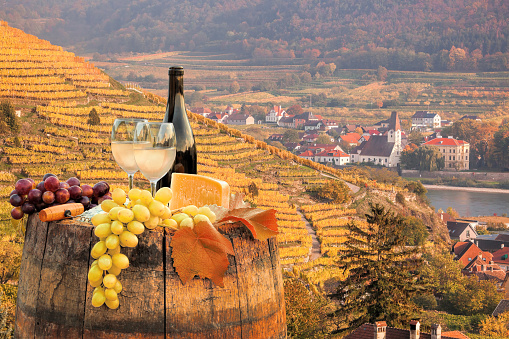 White wine with barrel on famous vineyard in Wachau, Spitz, Austria