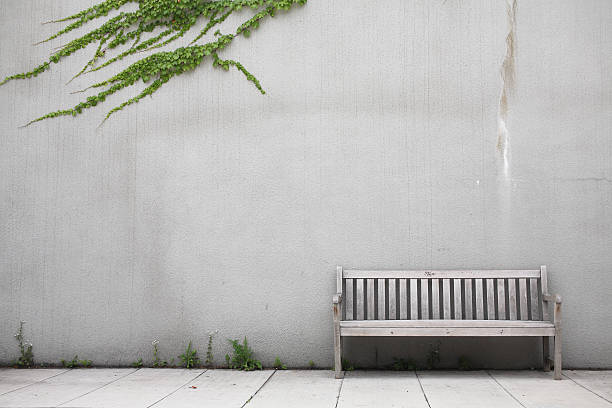 White wood bench by white wall with ivy creeping across it stock photo
