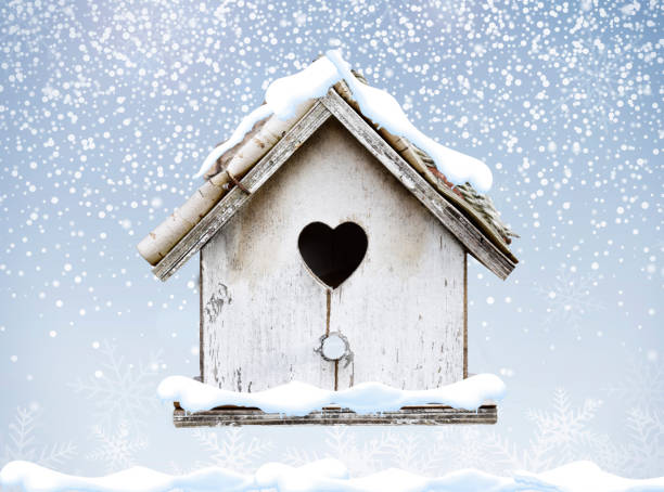 White wooden bird house winter snow falling down on a cold day in winter season stock photo