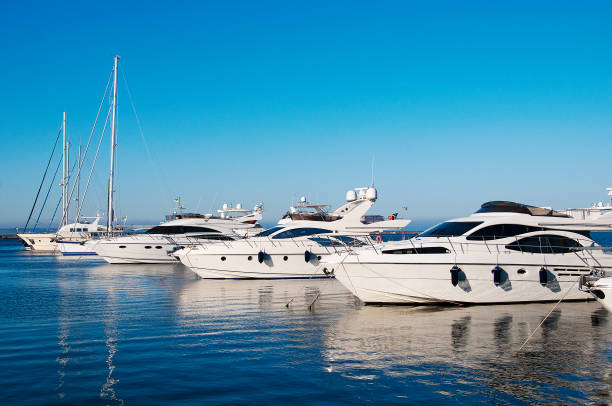 White yachts in port. White yachts in port. moored stock pictures, royalty-free photos & images