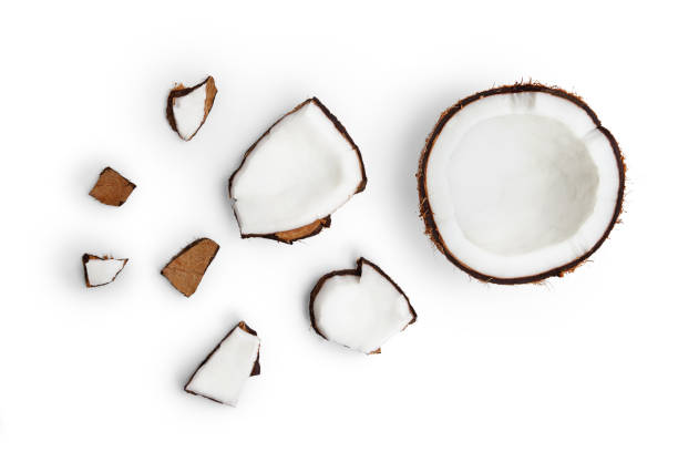 coco inteiro e pedaços de coco no fundo branco - coconut - fotografias e filmes do acervo