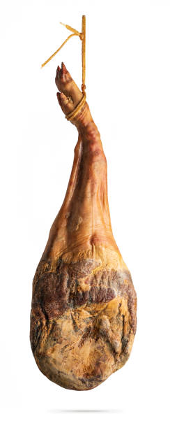 Whole leg of Spanish Iberian serrano ham hanging on a rope. Isolated on a white background Whole leg of Spanish Iberian serrano ham hanging on a rope. Isolated on a white background animal leg stock pictures, royalty-free photos & images