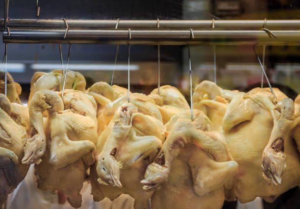 Whole poached chickens with heads hanging at a Hainanese Chicken Rice hawker stall in Singapore stock photo