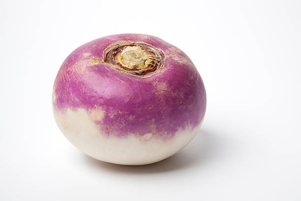Whole purple headed turnip stock photo