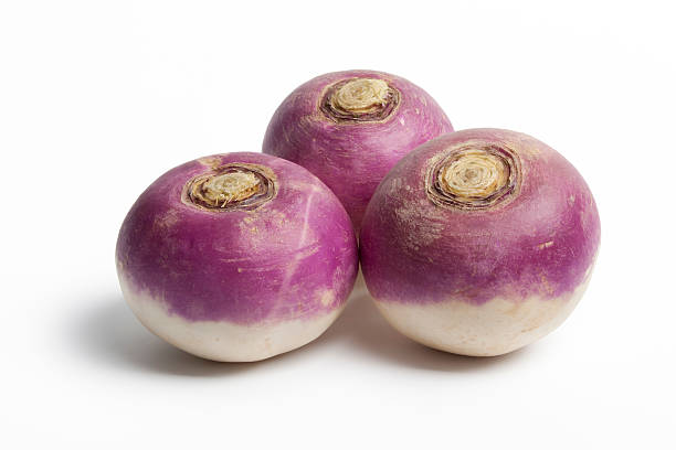 Whole purple headed turnips Three whole purple headed turnips on white background turnip stock pictures, royalty-free photos & images
