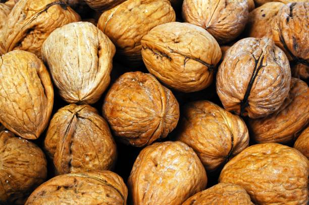 Whole walnuts in shells. stock photo