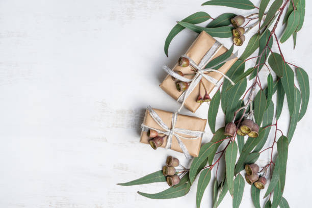 nyttiga gåvor insvepta i natur papper med garn, silverfärgade band och dekorerade med eukalyptusblad och tandkötts nötter. - australia nature background bildbanksfoton och bilder