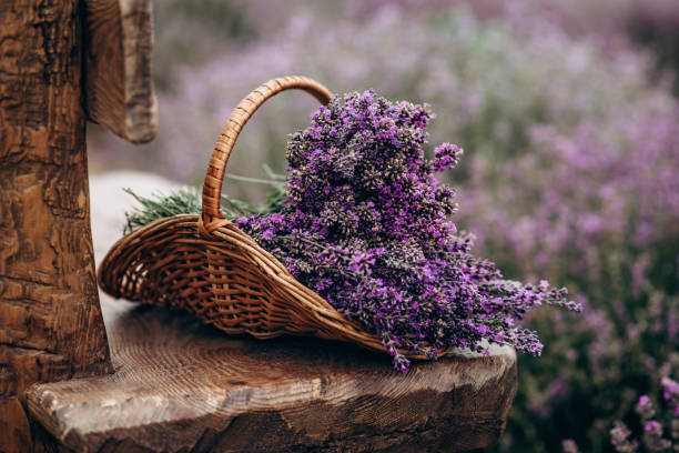 Lavender Red Provence Baguette Basket 