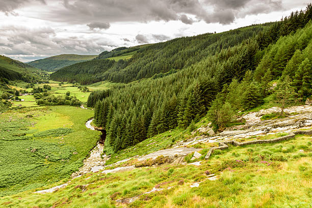 Wicklow mountains valley and stream stock photo