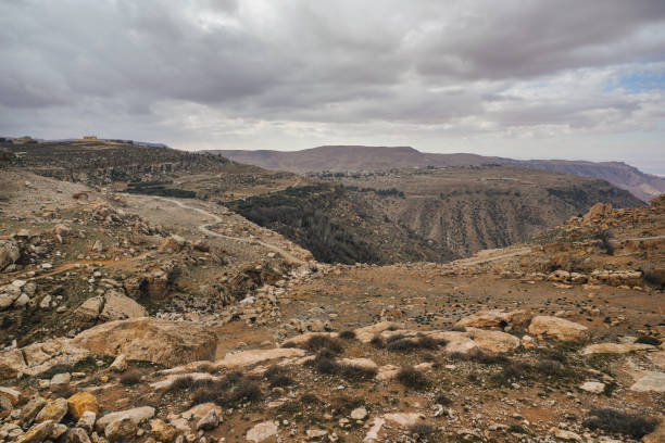 Wide panorama of Dana biosphere reserve in Jordan, gray overcast clouds above large canyon Wide panorama of Dana biosphere reserve in Jordan, gray overcast clouds above large canyon. bioreserve stock pictures, royalty-free photos & images