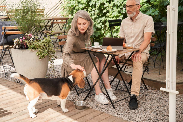 Wife and husband sitting at table at the cafe and looking at their dog with satisfaction stock photo