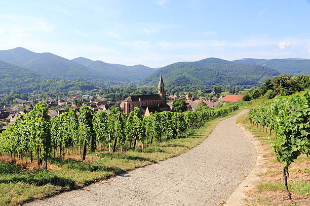 Wihr-au-Val, village of Alsace The wine village of Wihr-au-Val in the Munster valley munster france stock pictures, royalty-free photos & images