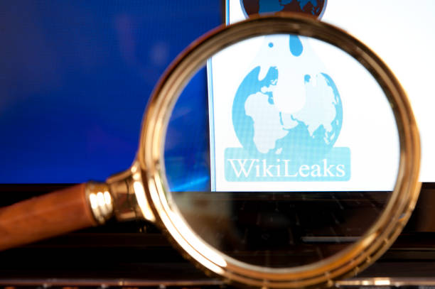 Wikileaks website through a magnifying glass stock photo