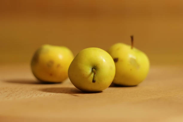 Wild apples stock photo