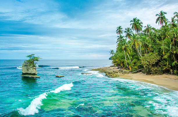 Wild caribbean beach of Costa Rica - Manzanillo stock photo
