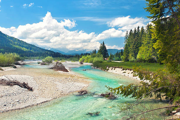 wild river in mountains turquoise wild river in alpine landscape on sunny summer day river isar stock pictures, royalty-free photos & images