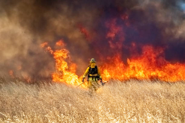Wildfire in California Wildfire raging across grass meadow in California firefighters stock pictures, royalty-free photos & images