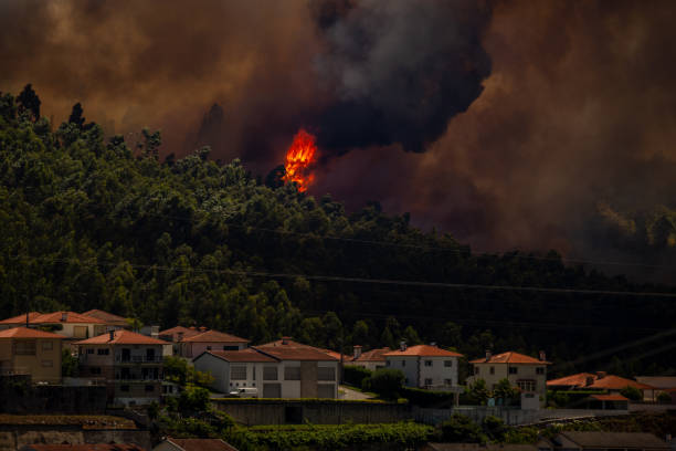 wildfire near houses in povoa de lanhoso, braga, portugal. - fire portugal imagens e fotografias de stock