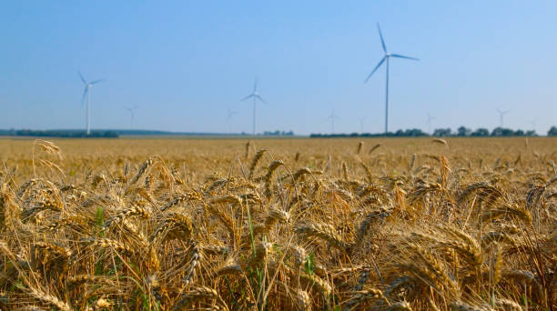 oregon farm bueau loans